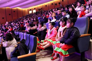 瑯岐鎮(zhèn)2019年迎新年文藝匯演 文化藝術(shù)交流活動(dòng)盛況